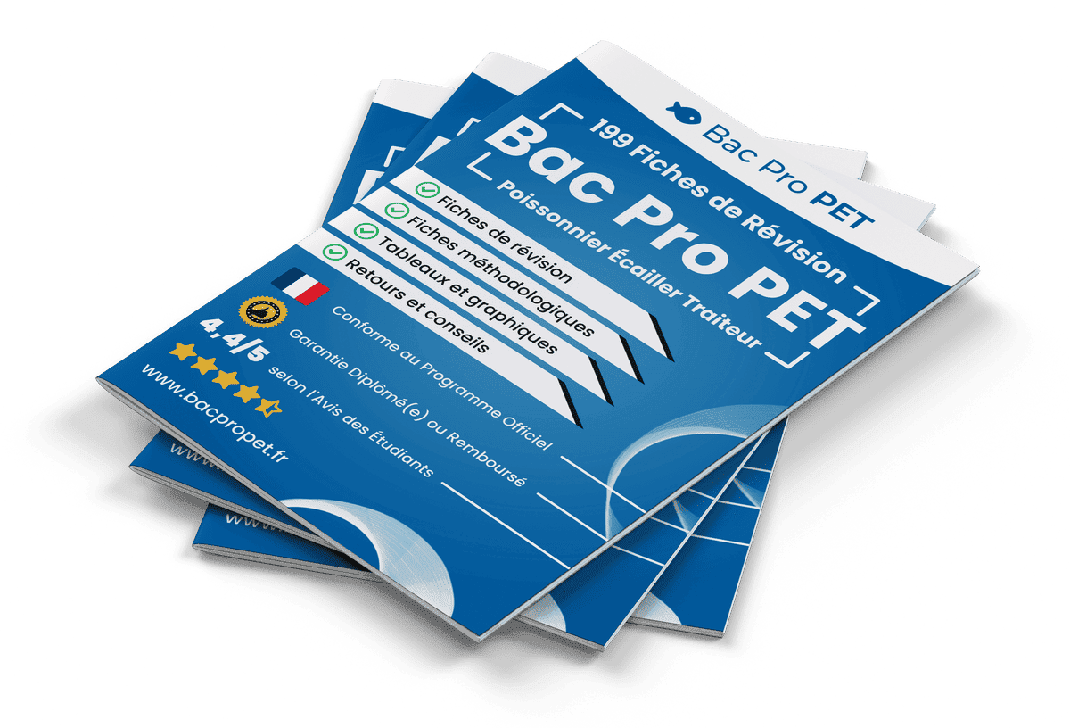 199 Fiches de Révision pour le Bac Pro PET